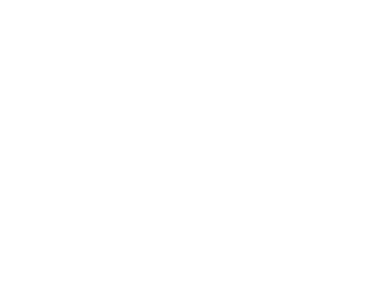 极兔