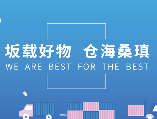 坂瑱电商