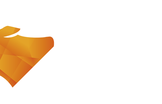 佰思德