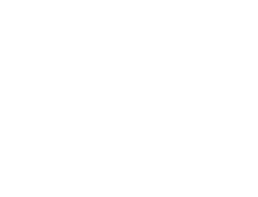 Globe Express环球