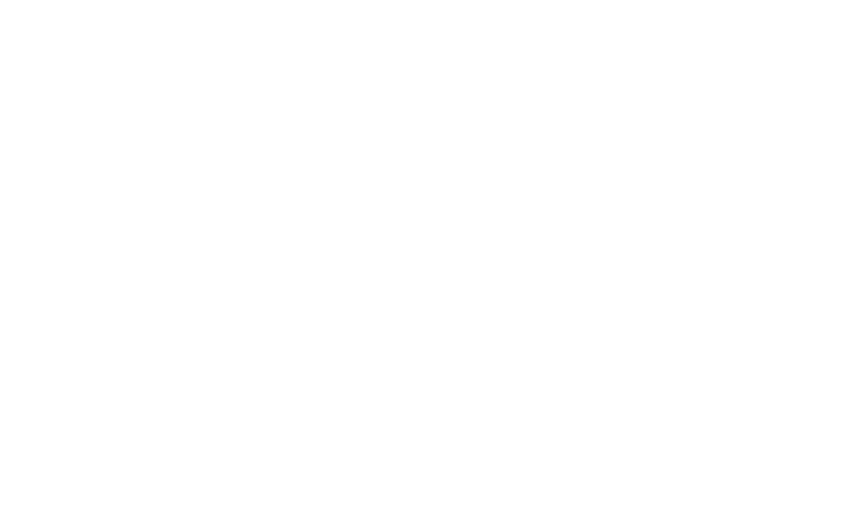 Globe Express环球