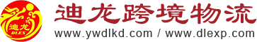 赛龙国际货运代理有限公司（迪龙