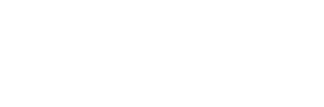 ECMS Global